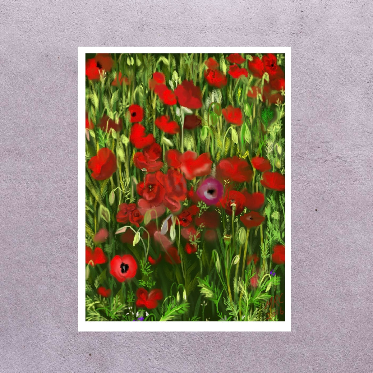 Poppy Field