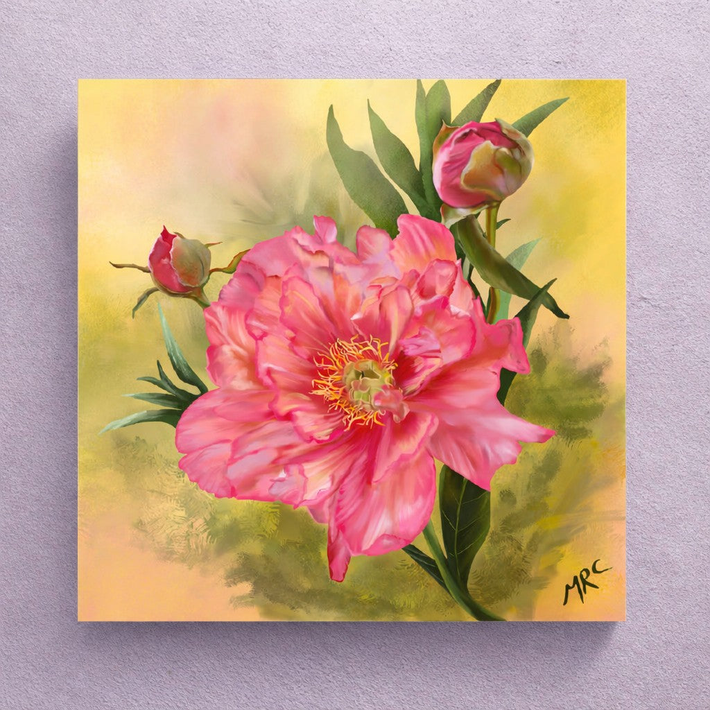 Coral Peony
