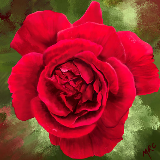 Crimson Rose
