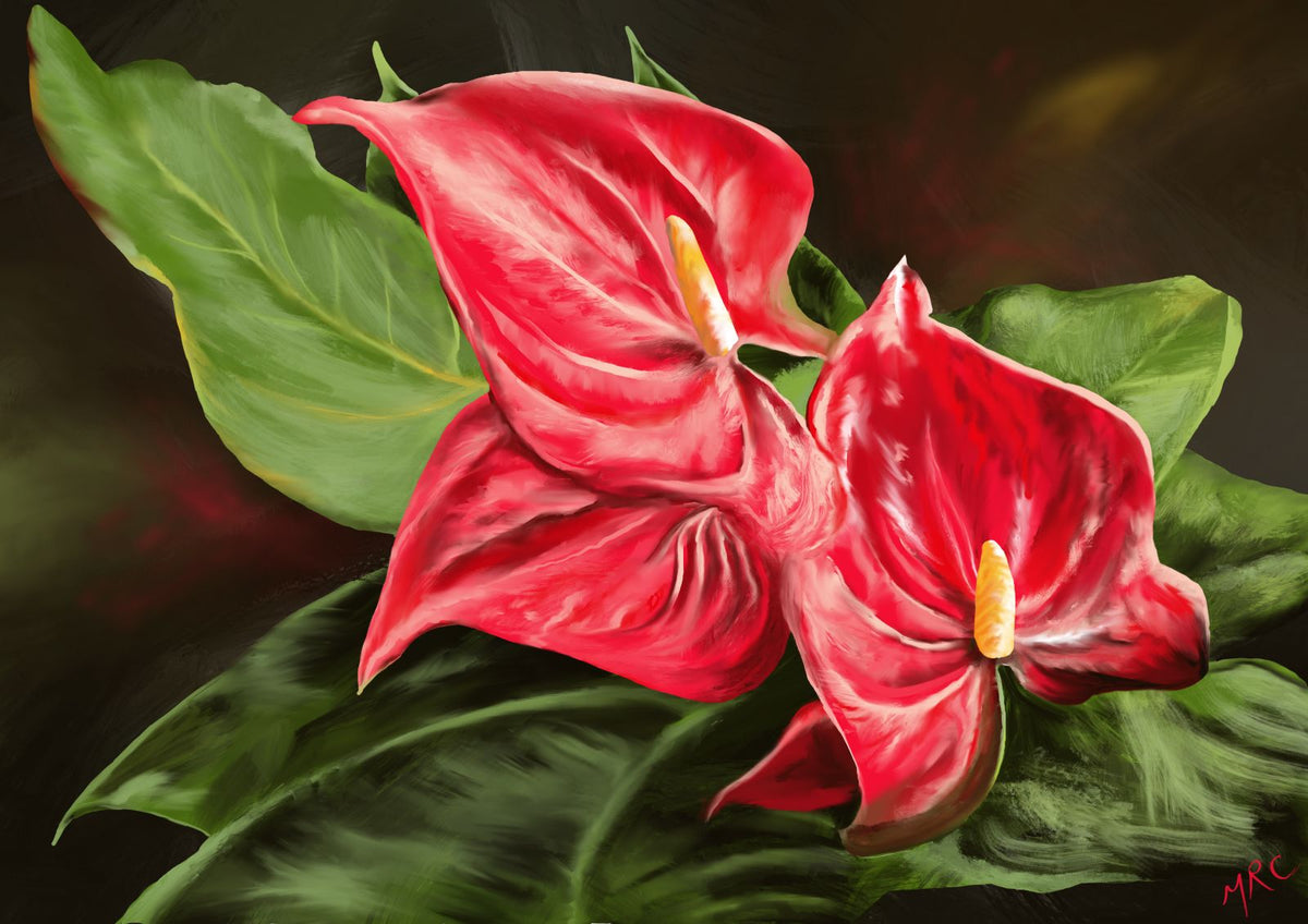 Flamingo Flowers