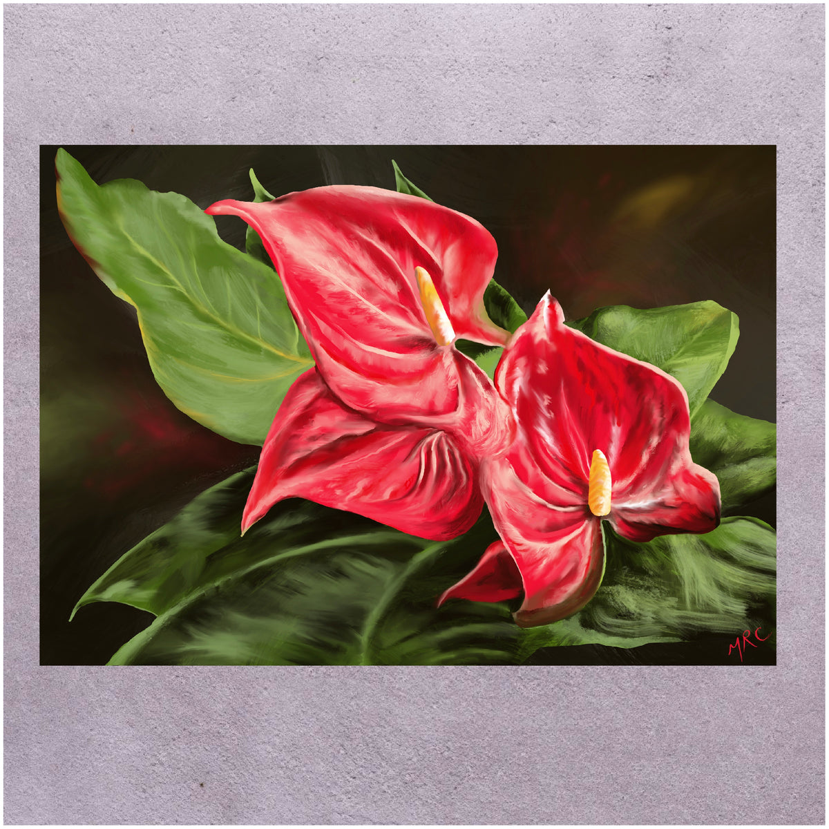 Flamingo Flowers