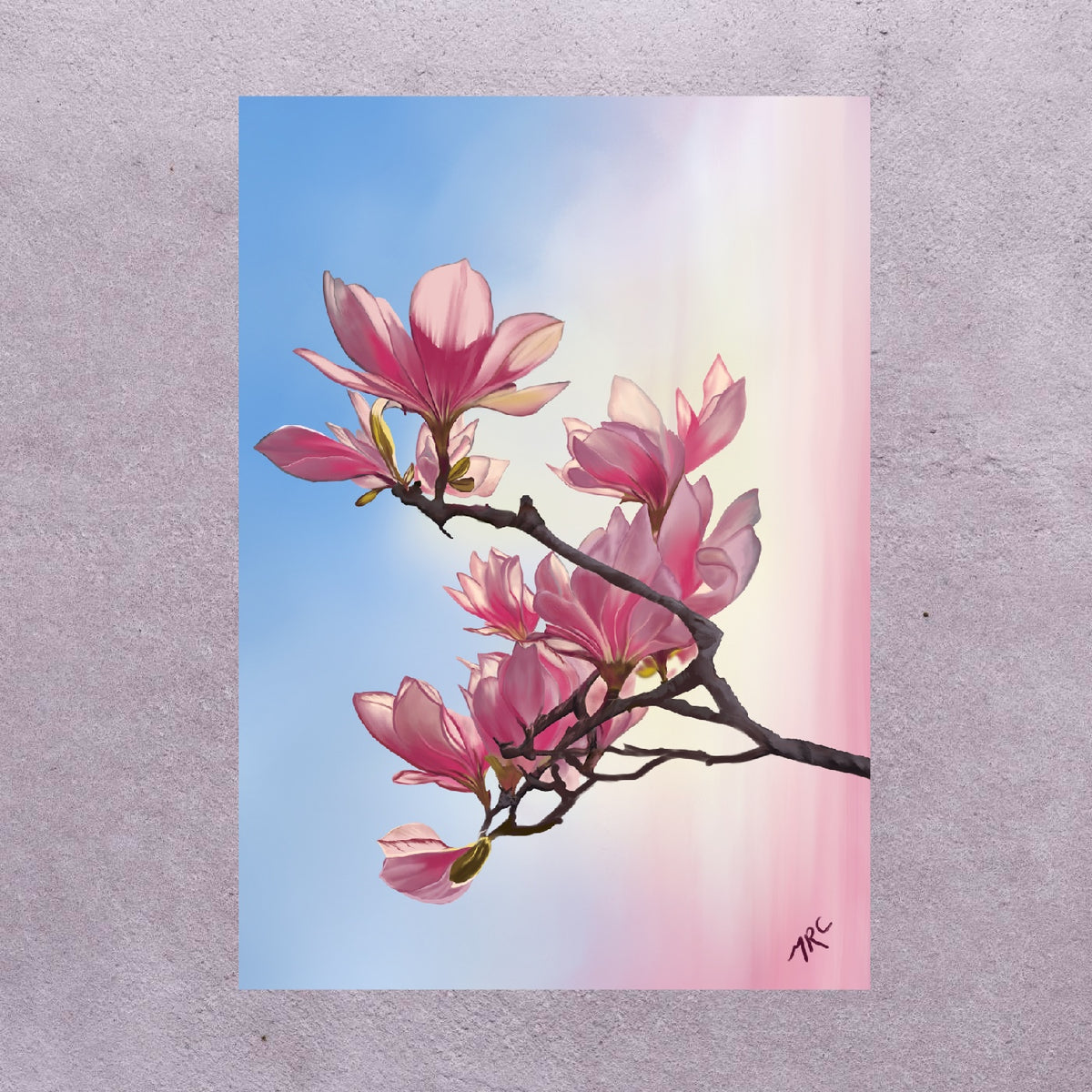Magnolia Blossom