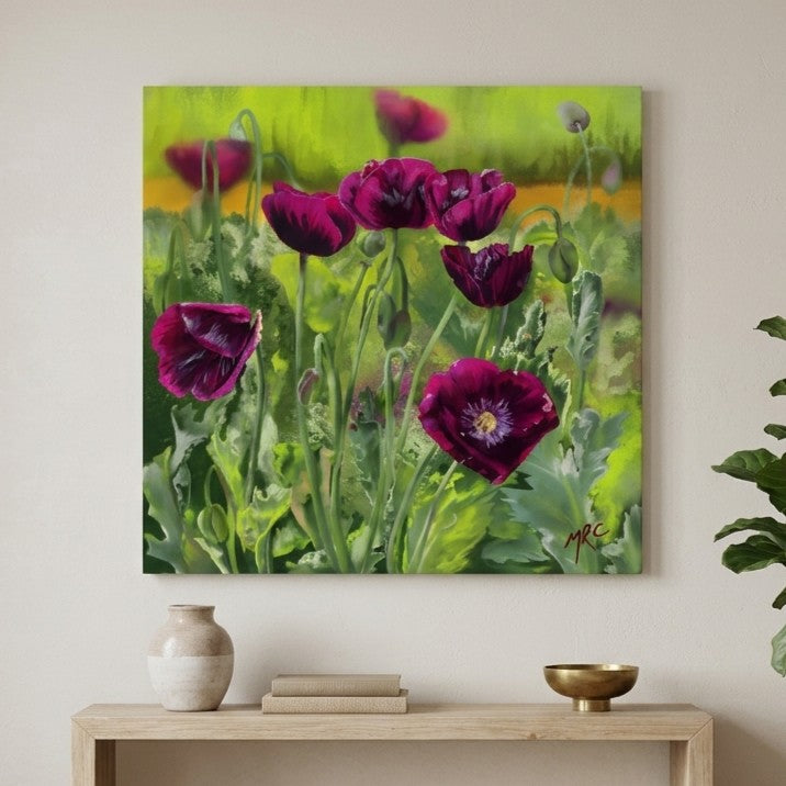 Purple Poppies