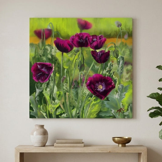 Purple Poppies