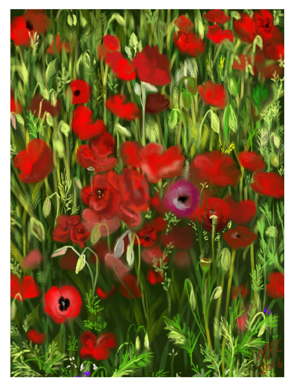 Poppy Field