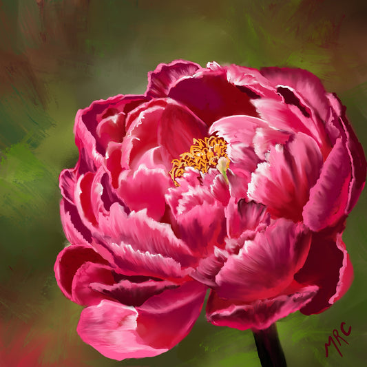 Peony Rouge