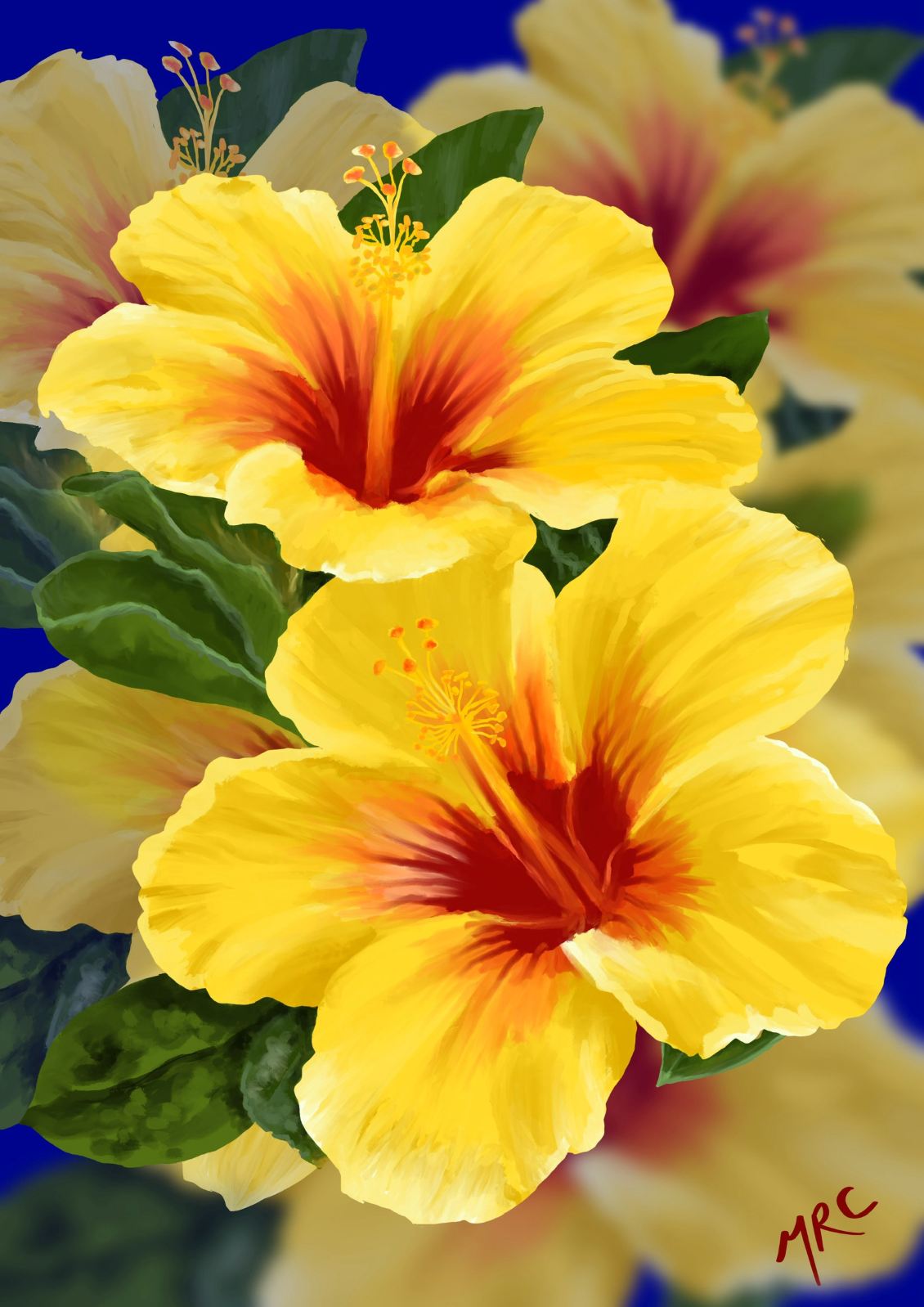 Yellow Belles