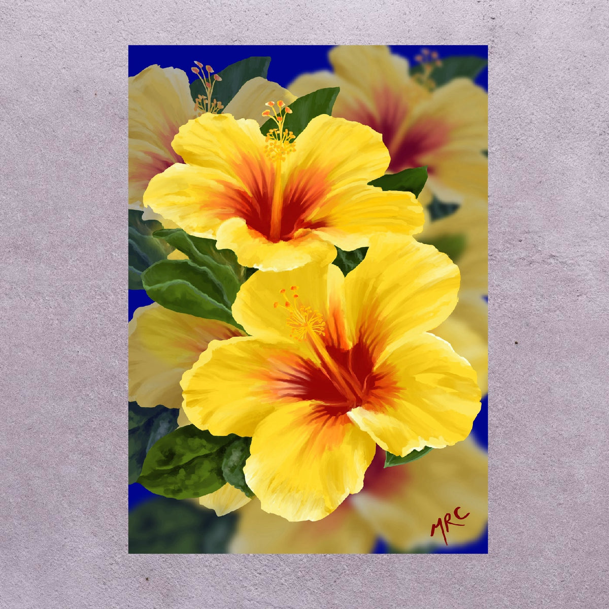 Yellow Belles